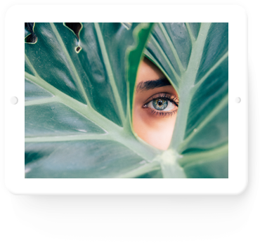 IDENTIDAD VISUAL